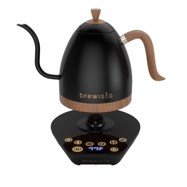 Brewista Artisan 1.0L Kettle Matte Black