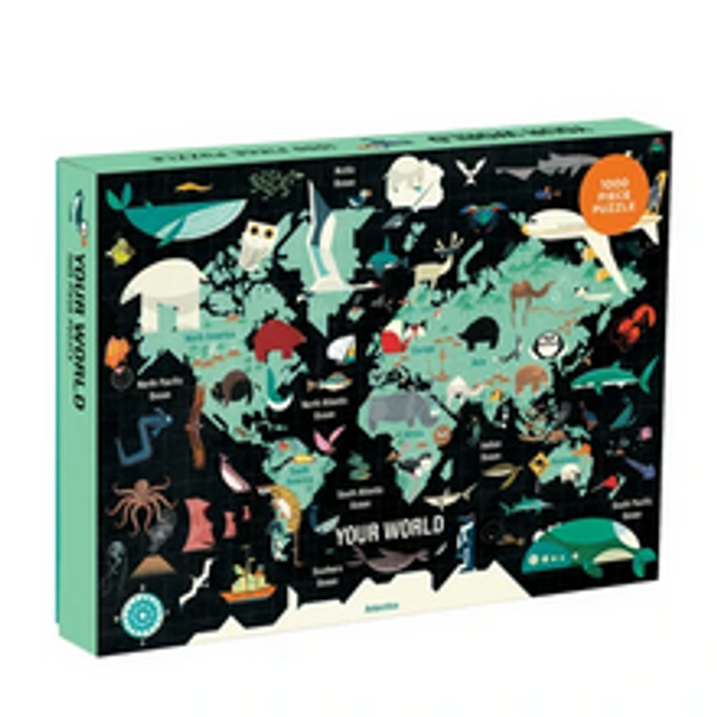 your world puzzle 1000 pcs