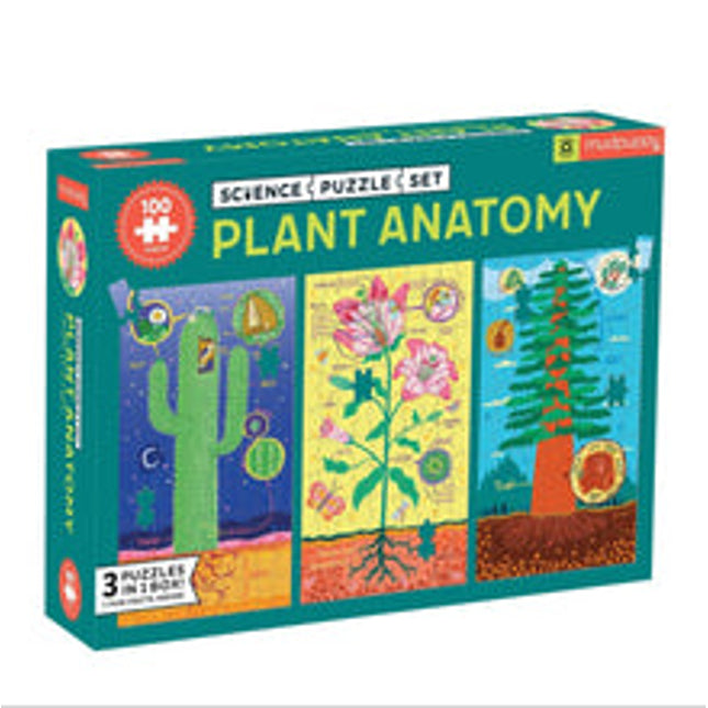 plant anatomy science puzzle set