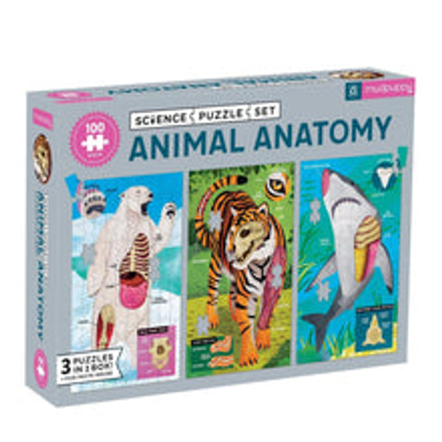 animal anatomy science puzzle set
