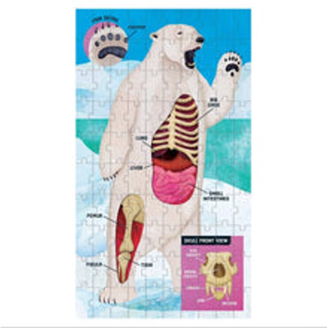 animal anatomy science puzzle set