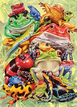 frog pile 350 pc 3 assorted puzzle sizes family