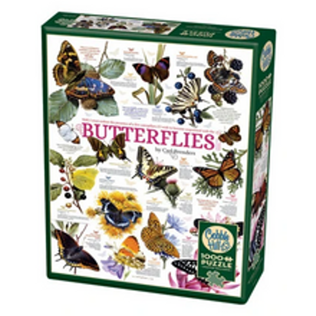 butterfly collection 1000 pcs