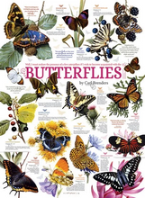 butterfly collection 1000 pcs