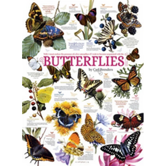 butterfly collection 1000 pcs