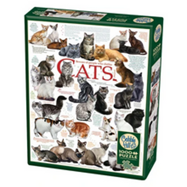 cat quotes 1000 pcs