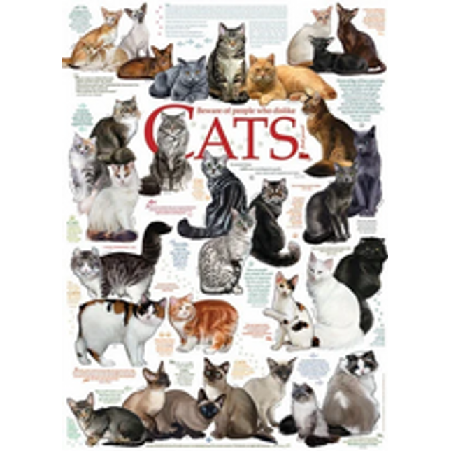 cat quotes 1000 pcs