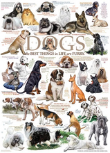 dog quotes 1000 pcs
