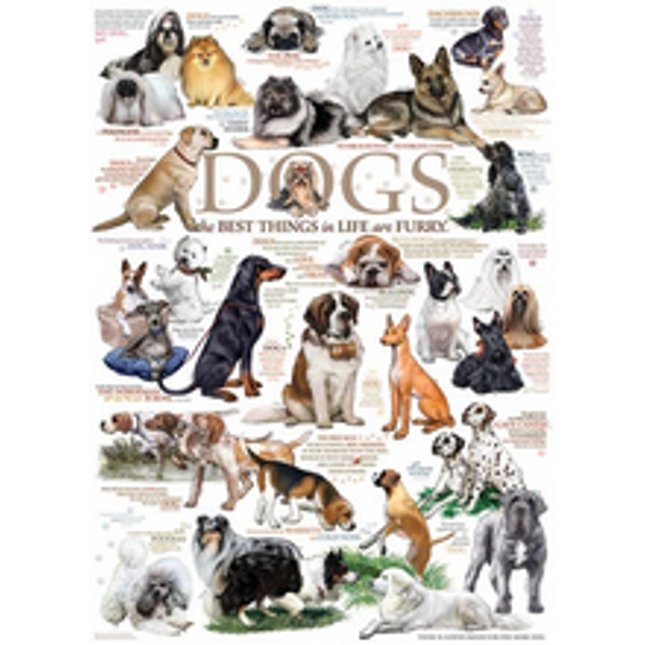 dog quotes 1000 pcs