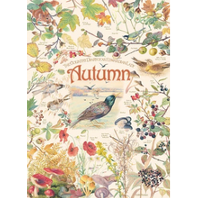 autumn puzzle 1000 pcs seasons