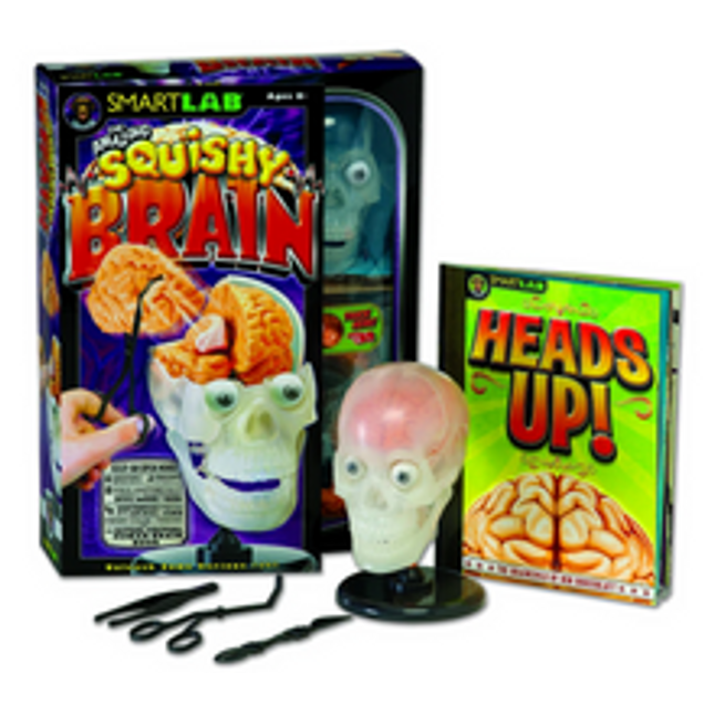 the amazing squishy brain lab