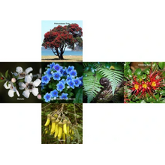 new zealand flora 3 x 3 pillow printed