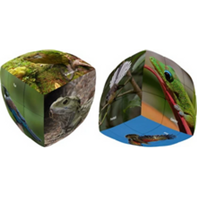 new zealand wildlife 3 x 3 pillow printed