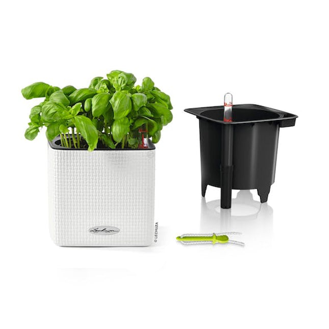 lechuza cube planter colour 14 white